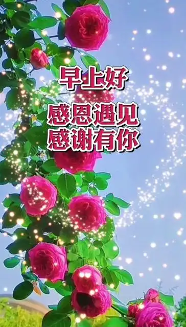 早上好,人间的美在于你来我往,祝福的美在于每天牵挂,感恩遇见感谢有