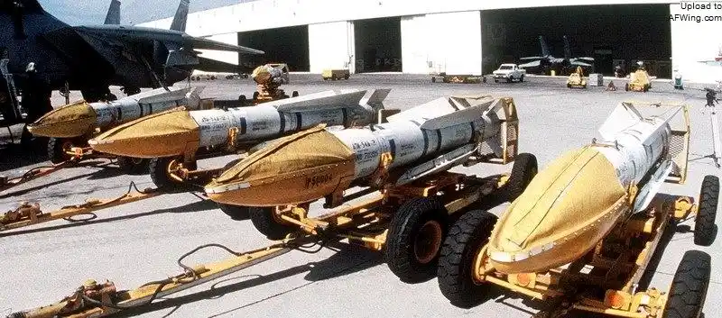 汤姆猫的好伙伴——aim-54"不死鸟"远程空空导弹