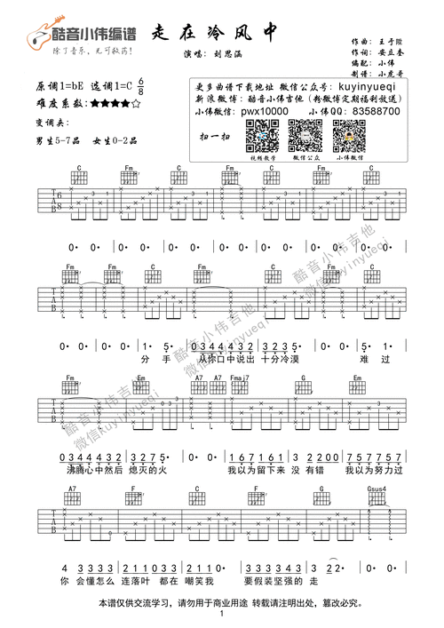 《走在冷风中》刘思涵c调超原版完美编配 酷音小伟编谱