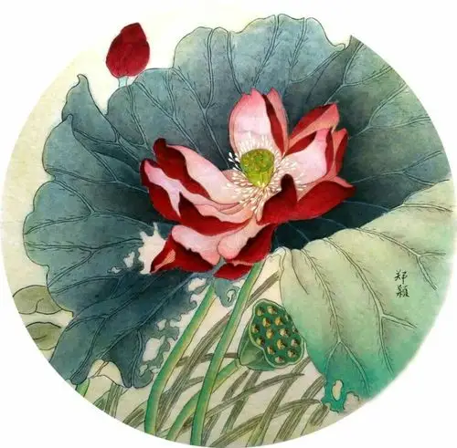 工笔荷花为书画