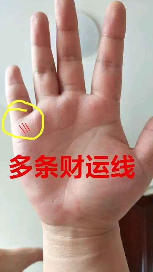 讲手相终极篇100