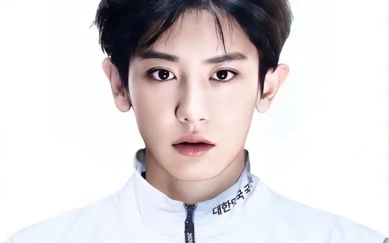 哦豁,朴灿烈可不仅仅只有一张证件照