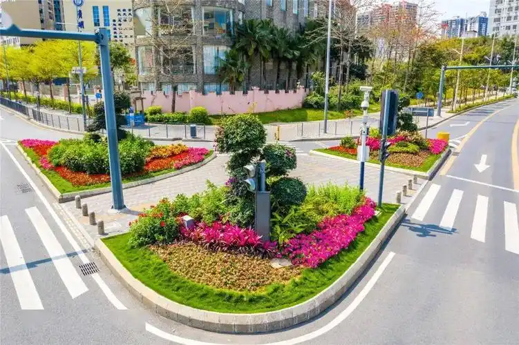 6万平方米.未来,龙华还将有更多高颜值城市绿化景观在路边街