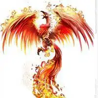 漂亮的凤凰图片大全微信头像点击鼠标右键下载