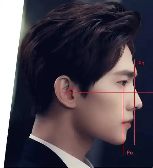 杨洋完美侧脸图楼专组第一帖