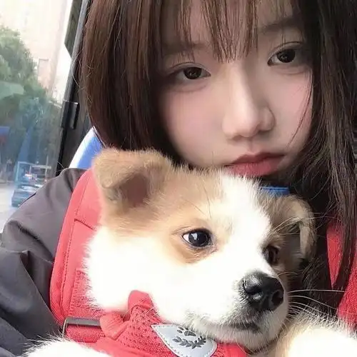 情侣头像男朋友不是人的情头