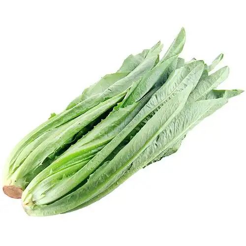 又一亩油麦菜(莴笋叶)450-550g/份_叶菜类_新鲜蔬菜_新鲜蔬果_淘乐送