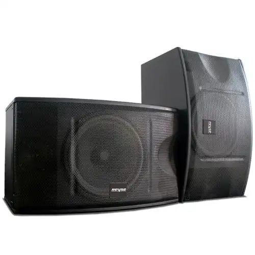 锐斯k10专业ktv卡包音箱10寸喇叭会议舞台演出家庭卡拉ok唱k音响