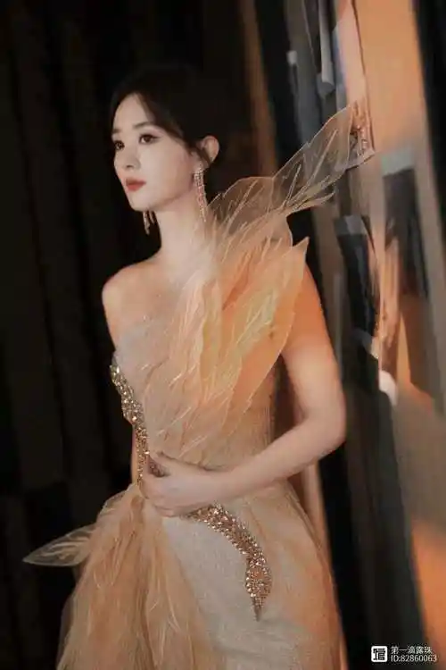 与凤行发布会赵丽颖林更新现场互动太有趣主演盖章喜剧实锤