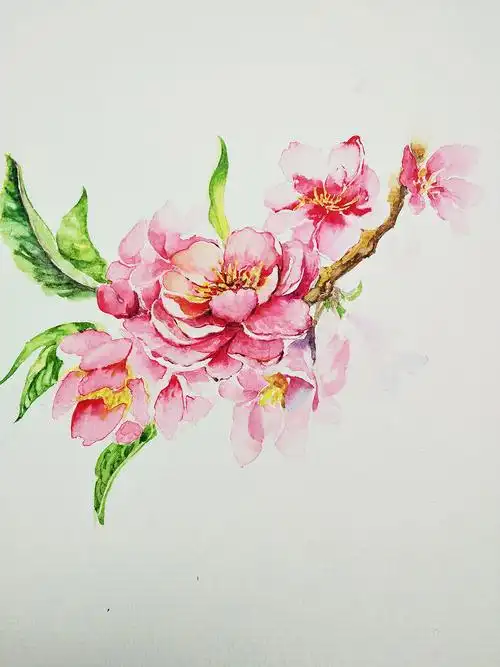 水彩桃花|纯艺术|绘画|野菜馅的大饺子 - 原创作品 - 站酷 (zcool)