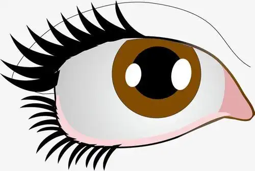 狗的眼睛和猫的眼睛卡通简笔画