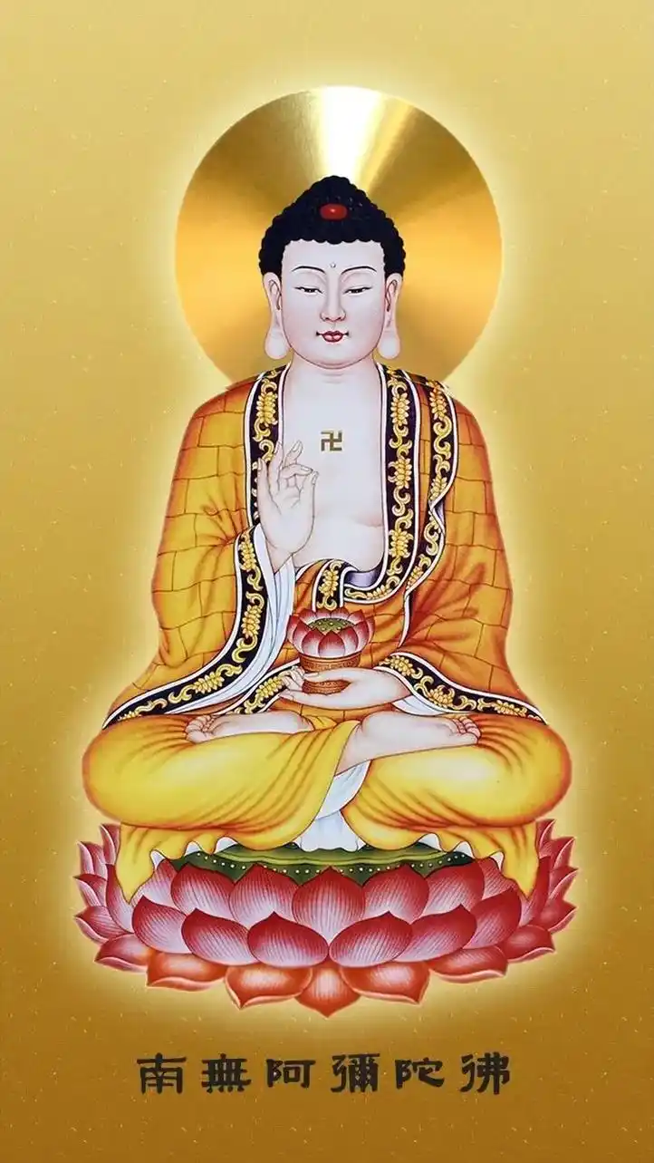 南无西方极乐世界大慈大悲阿弥陀佛 南无大悲观世音菩萨 南无大 - 抖
