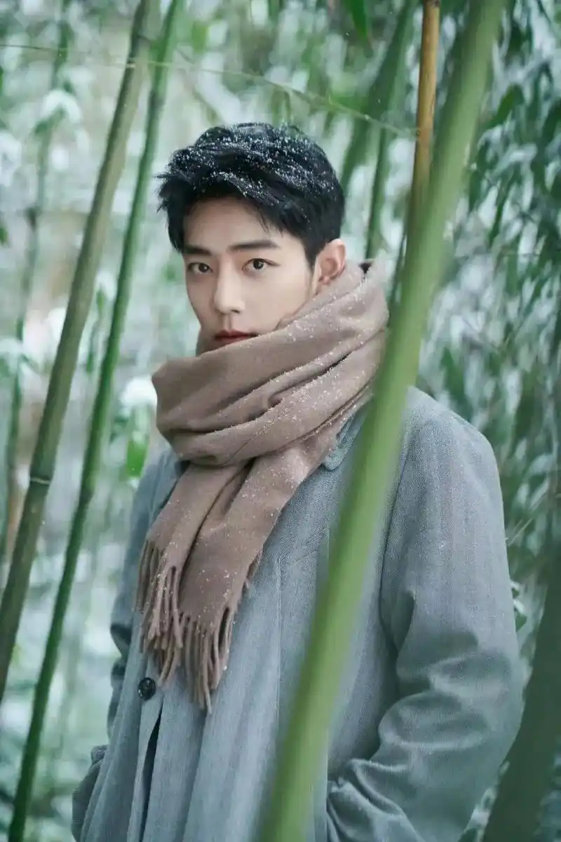 肖战 #冬至,肖战民国风. - 抖音