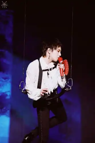 华晨宇 鸟巢演唱会 五年之约