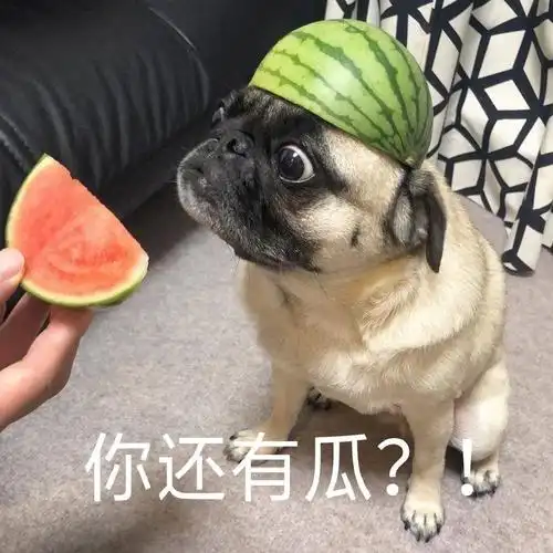 你还有瓜搞笑表情包斗图表情