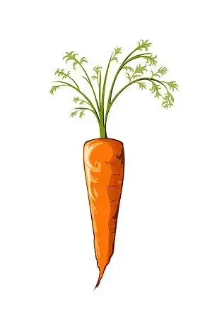 单个物体图片_全景网