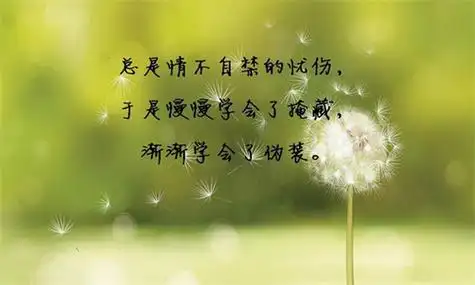 关于人生的感悟合集(配图)-总有一句走进你的心里