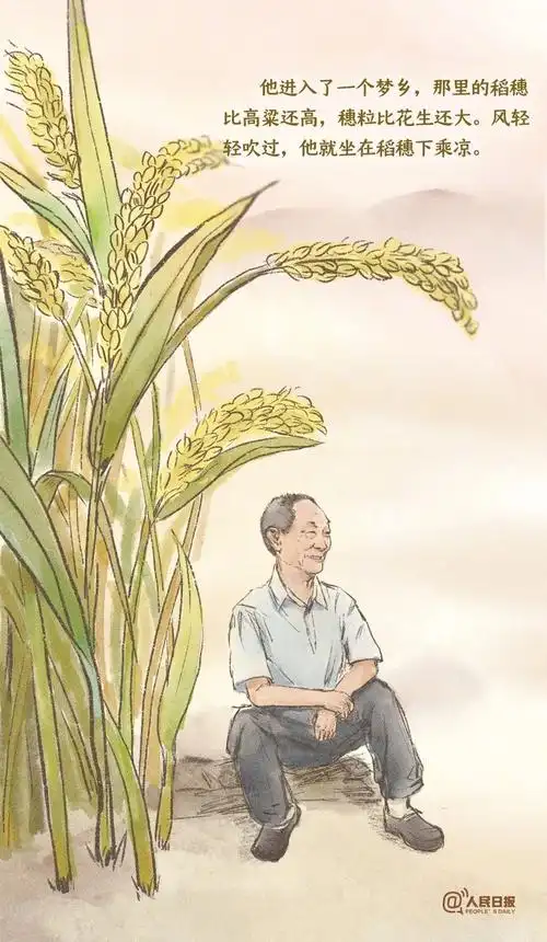 custv | 您的田换我们来守护,长理学子深切悼念袁隆平院士