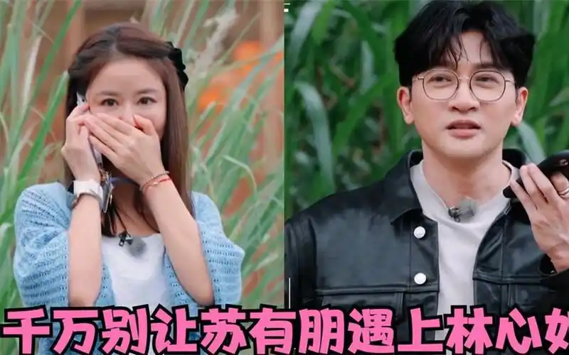 千万别让苏有朋遇上林心如:俩人一个敢说一个敢接,杨紫笑到飙泪