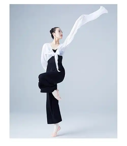 水袖上衣女舞蹈服藏族舞民族舞古典舞练功服甩袖成人惊鸿舞演出服玫红