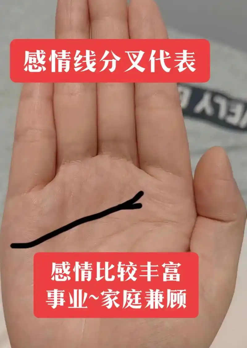 上热门 感情线分叉代表#掌纹的秘密 #国学文化 #命理八字 - 抖音