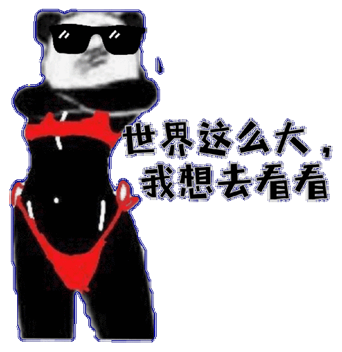 大半夜不睡觉还再群里乱bb表情包 - 表情图