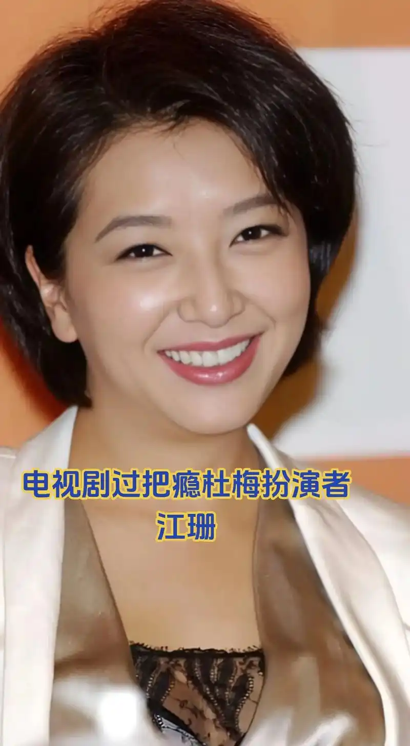 江珊电视剧过把瘾杜梅扮演者