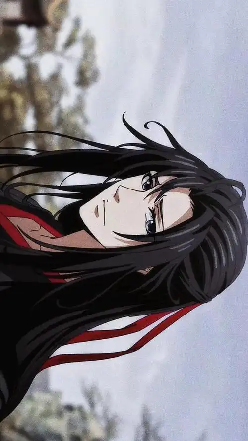 动漫魔道祖师魏无羡魏婴壁纸