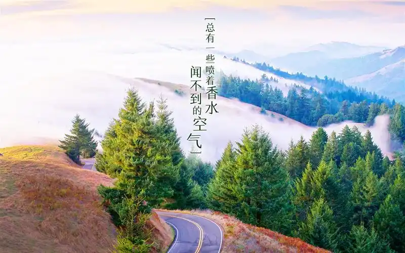 创意小清新文字高清桌面壁纸