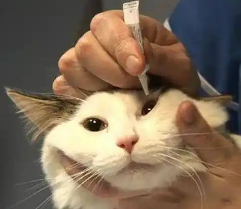 家里有红霉素药膏的小心了这种情况下不能用