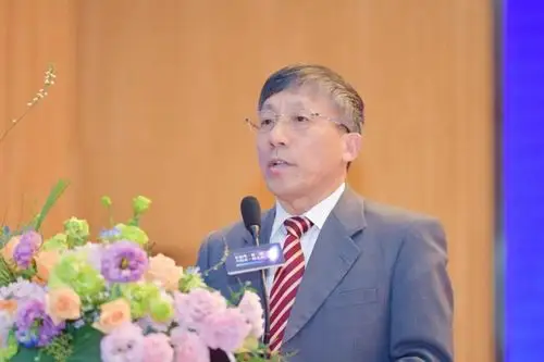 2020民办学校全国峰会在深圳市桃源居中澳实验学校举行