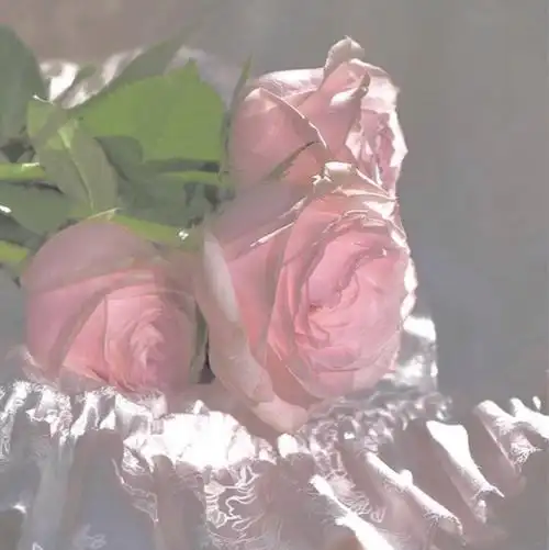 ins#小清新#月亮#少女心#可爱#blingbling#摄影#颜色#冷淡背景#摄影