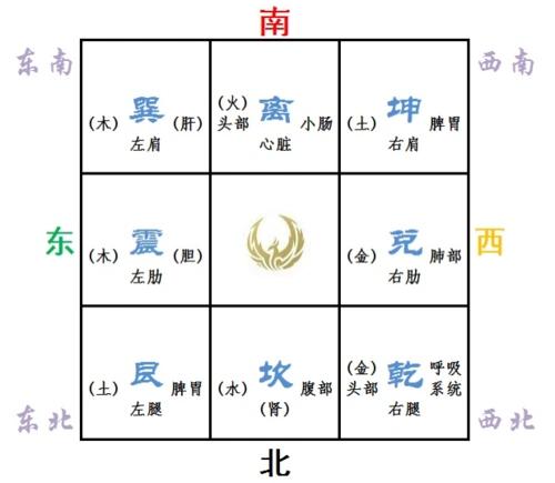 后天八卦对应的 人体 部位