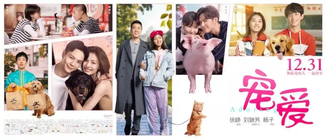 《宠爱》票房破5亿!没想到一部宠物合家欢电影也能商业大成功__凤凰网
