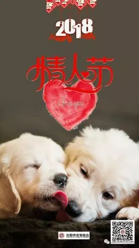 有了它们的陪伴才是真正的情人节!