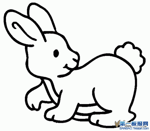 灰兔简笔画简单