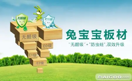 德华兔宝宝装饰新材股份有限公司