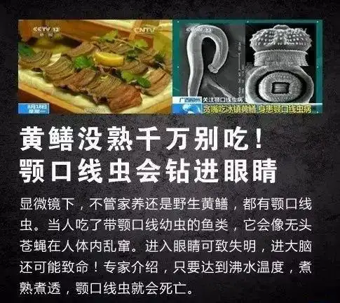 经常喝这个女子乳房里取出3条活虫别喝了