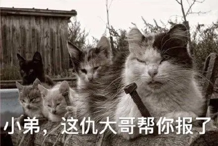 小弟这仇大哥帮你报了