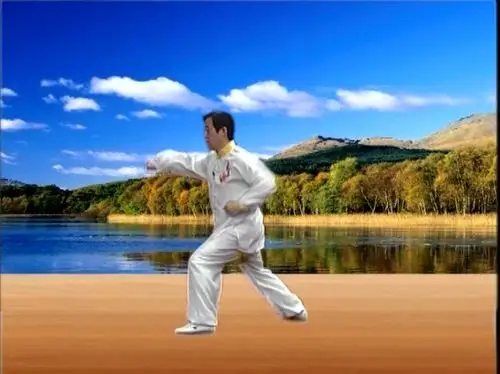 陈正雷老师老架二路教学第二十二式:掩手肱拳