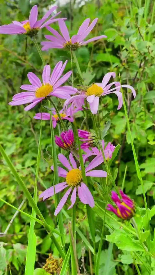 1080_1920竖版 竖屏