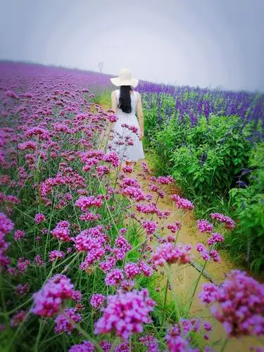 不去想哭了笑了累了倦了 这一刻 看着你的背影渐行渐远 花丛间的这一