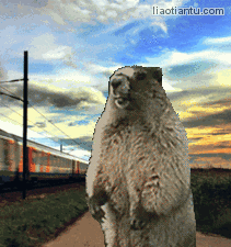 土拔鼠咆哮春运火车版 - 做表情 - 在线装逼,照片装饰,表情包制作