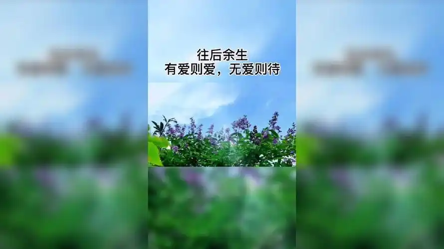 往后余生,顺其自然,静而不争,一切随缘……致自己感悟