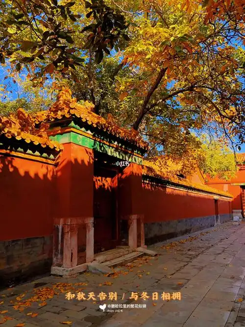 故宫的秋天