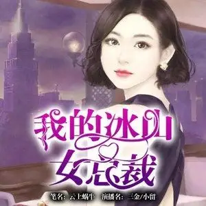 我的冰山女总裁第05集