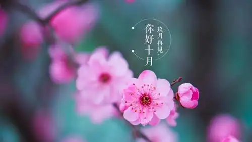 告别九月迎接十月带字文案