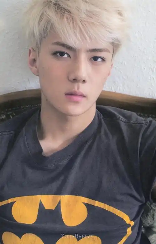百张sehun高清!#南韩仙子 #sehun #吴世勋  - 抖音