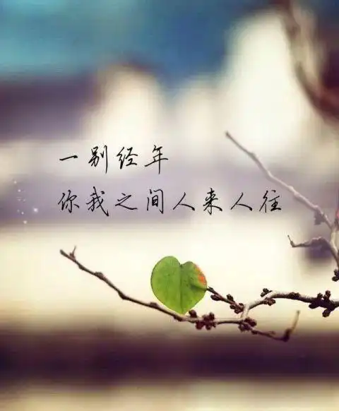 一厢情愿的爱注定有始无终