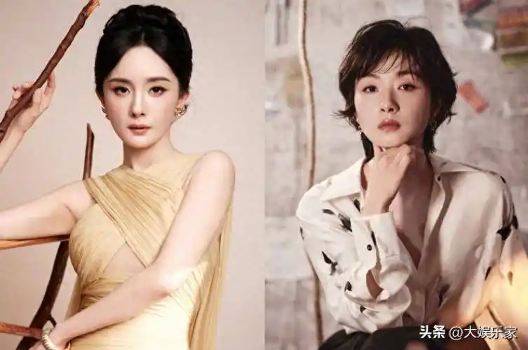 杨幂《生万物》创21亿流量成年度剧王,新剧携手万茜互飙演技